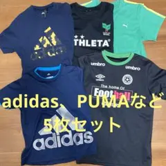 半袖Tシャツ150cm5枚セット