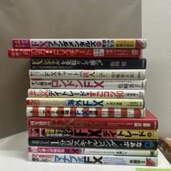 FX 初心者向け書籍 13冊セット まとめ売り