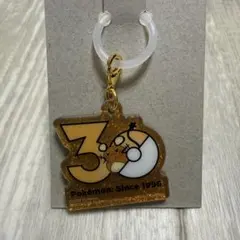 【デデンネ】ポケモン 30周年ロゴマスコット ポケチャーム