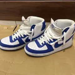 Nike Terminator High ブルー ホワイト
