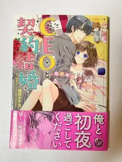 敏腕CEOと契約結婚 桜月ナナカ　希彗まゆ　乙女ドルチェコミック