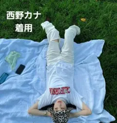 1週間値下げ GANNI レオパード柄 キャップ 帽子 - メルカリ