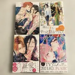 じゃのめ　残像スローモーション　宵々モノローグ