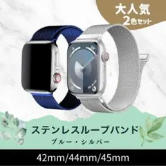 2本セット Apple Watchバンド ブルー・シルバー 42/44/45