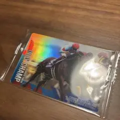 サラブレッドホースコレクション インディチャンプ
