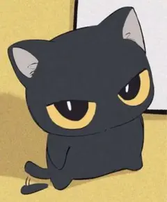 Yumi 専用