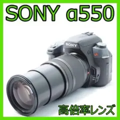 2025年最新】α550 SONYの人気アイテム - メルカリ