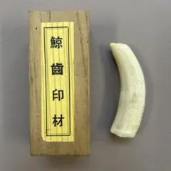 2026年最新】鯨歯+印材の人気アイテム - メルカリ