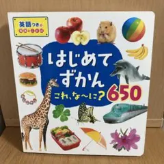 はじめてずかん　これ、な〜に？650 英語つきの写真とことば 図鑑