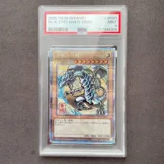PSA10】 25th ブルーアイズホワイトドラゴン 浮世絵 青眼の白龍 - メルカリ