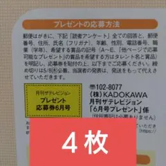 月刊ザテレビジョン 6月号 応募券 八木勇征 町田啓太 齊藤京子 塩野瑛久