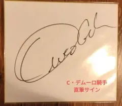 トウカイテイオー 主戦騎手 安田隆行 直筆 サイン 色紙 トウカイテイオー 主戦騎手 安田隆行 直筆 サイン 色紙 - メルカリ