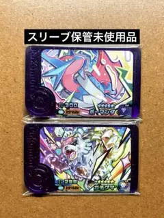 ポケモンフレンダ　未使用　メガボーマンダ　ガチグマ　スーパートレジャー　ST