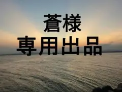 蒼様専用のサムネイル