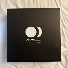 イサムノグチ Akari 1A スタンドライト