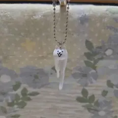 もんたこ様 リクエスト 2点 まとめ商品