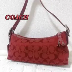 [美品] COACH ワンショルダー　アクセサリーポーチ　シグネチャー柄　希少色