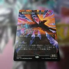 スカンプー ポケモンカード 9枚セット 2008 コミヤトモカズ - メルカリ