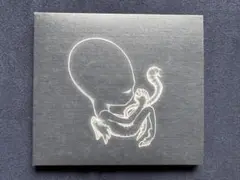 Sigur Ros アゲティス ビリュン