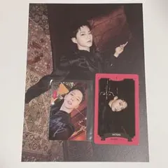 セブチ　シーグリ2023 ホシ