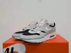 浦和レッズコラボ Nike Air Max 1 PRM 27cm うなぎ