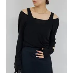 GALLARDAGALANTE シアーレイヤードカットソー black