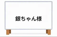 銀ちゃん様 リクエスト 2点 まとめ商品