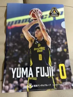 群馬クレインサンダーズ YUMA FUJII クリアファイル