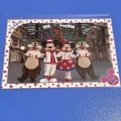 ディズニー TDL スペシャルフォト クリスマス 2009 ミニー チップ