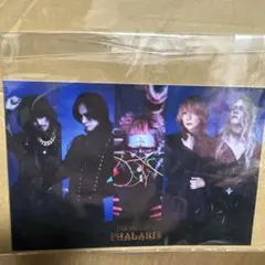 DIRENGREY ステッカー　特典　PHALARIS