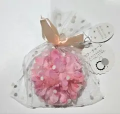 Item thumbnail for item bb35b82a-c65c-440d-801a-e7dbe12d3099