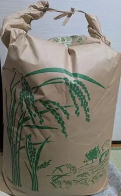 令和7年 愛媛県産 玄米 30kg 送料込 - メルカリ