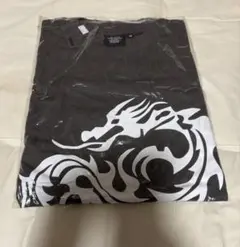 【値下げ】DIESEL Tシャツ サイズM 新品