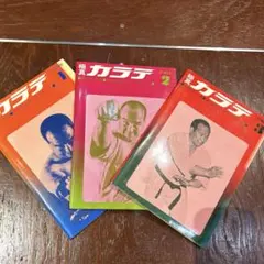 2026年最新】大山カラテの人気アイテム - メルカリ
