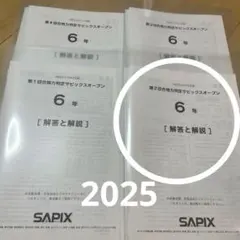 第4回合格力判定サピックスオープン 6年 2024年12月 SAPIX 第四回合格力判定 サピックスオープン 2025年12月7日実施 - メルカリ