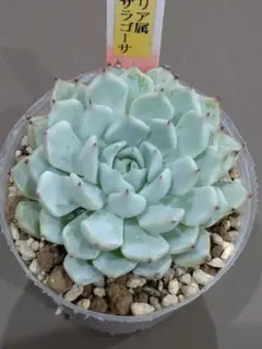 ゆな様 リクエスト 4点 まとめ商品