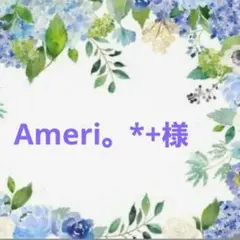 Ameri。*+様　専用ページ
