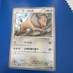 ポケパーク　ケンタロス HP70 ポケモンカード プロモ】ポケパークケンタロスカード 2枚セット - メルカリ