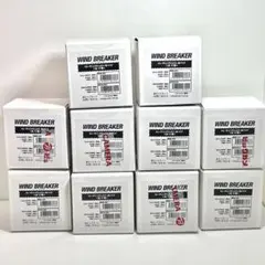 WIND BREAKER ジュエリー 缶バッジ 原作絵 未開封