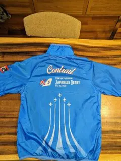 Item thumbnail for item e2eaa078-340e-48e1-9a94-ba4b67289c26