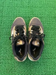 Item thumbnail for item 2561091a-e8ba-451e-a117-462915345baa