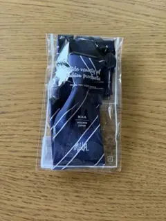 ⭐︎ご卒園・ご入学に⭐︎新品⭐︎ネクタイ、チーフセット