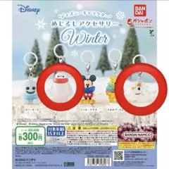 【送料込・即購入可】めじるしアクセサリー winter ゼロ　ベイマックス