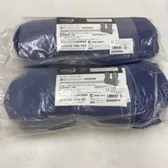 11)トゥルースリーパー 腰らくクッション 2個セット