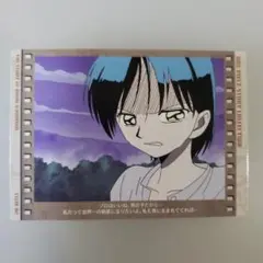 ワンピース ゾロ トレーディングカード