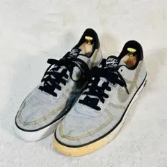 【希少】30cm NIKE AIR FORCE 1 AC PREMIUM グレー