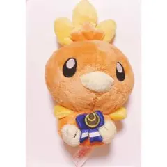 ポケモン アチャモ コンテスト 優勝リボン ぬいぐるみ