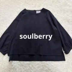 【美品】ソウルベリー 長袖 ゆったり バックボタン ブラウス ネイビー 3Lのサムネイル