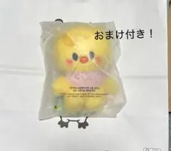 skzoo アイドル