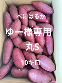 ゆー様専用　丸S 10キロ